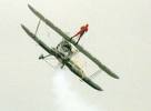 Wing Walking